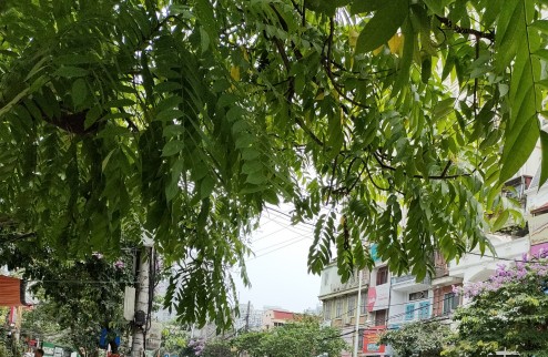 Cho thuê gấp nhà đẹp, vị trí đẹp nhất mặt phố Nguyễn Huy Tự 50m, 2 tầng, mặt tiền 5m, 41 tr/th Hai Bà Trưng.
